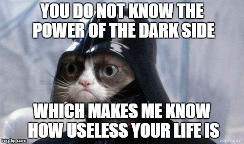 Grumpy Cat Star Wars | YOU DO NOT KNOW THE POWER OF THE DARK SIDE; WHICH MAKES ME KNOW HOW USELESS YOUR LIFE IS | image tagged in memes,grumpy cat star wars,grumpy cat | made w/ Imgflip meme maker