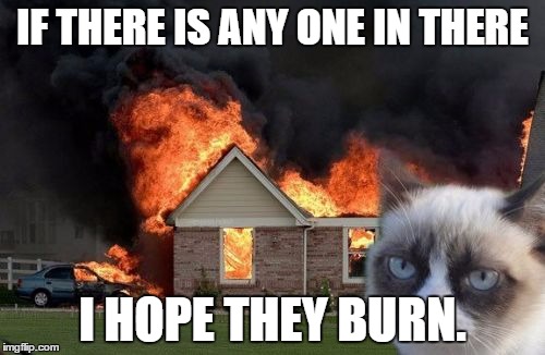 Burn Kitty Meme | IF THERE IS ANY ONE IN THERE; I HOPE THEY BURN. | image tagged in memes,burn kitty,grumpy cat | made w/ Imgflip meme maker