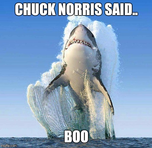 CHUCK NORRIS SAID.. BOO | image tagged in chuck norris,scary | made w/ Imgflip meme maker