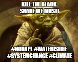 yoda | KILL THE BLACK 
SNAKE WE MUST! #NODAPL #WATERISLIFE #SYSTEMCHANGE #CLIMATE | image tagged in yoda | made w/ Imgflip meme maker