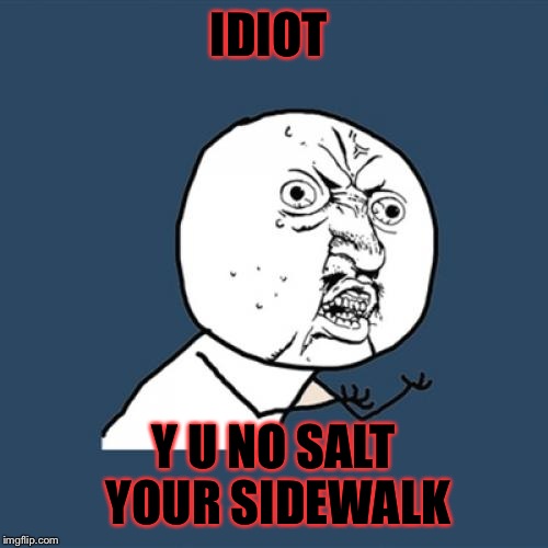 Y U No Meme |  IDIOT; Y U NO SALT YOUR SIDEWALK | image tagged in memes,y u no | made w/ Imgflip meme maker