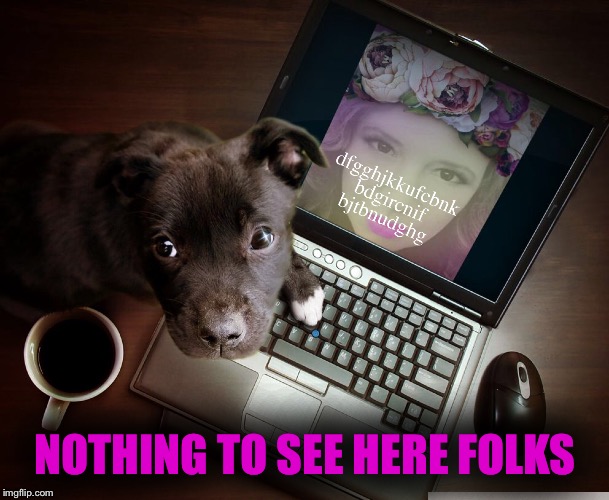 We should really keep our pets away from the Internet.  | NOTHING TO SEE HERE FOLKS | image tagged in guess who,ill just wait here,mean while on imgflip,taking a break | made w/ Imgflip meme maker