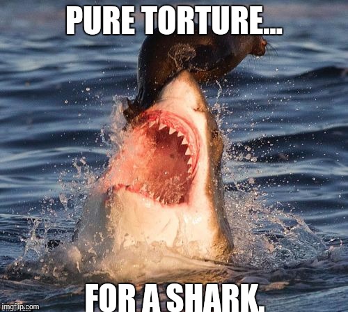 Travelonshark | PURE TORTURE... FOR A SHARK. | image tagged in memes,travelonshark | made w/ Imgflip meme maker