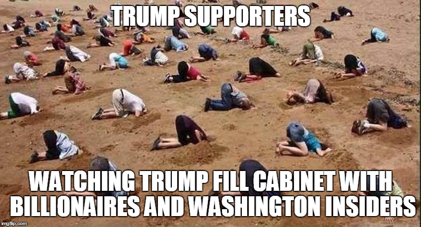 Fill that swamp | TRUMP SUPPORTERS; WATCHING TRUMP FILL CABINET WITH BILLIONAIRES AND WASHINGTON INSIDERS | image tagged in trump supporters | made w/ Imgflip meme maker