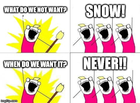Want Not! | WHAT DO WE NOT WANT? SNOW! NEVER!! WHEN DO WE WANT IT? | image tagged in memes,what do we want,snow | made w/ Imgflip meme maker