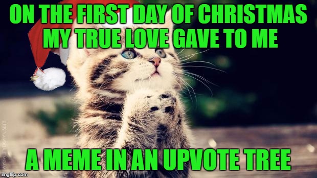 begging christmas cat | ON THE FIRST DAY OF CHRISTMAS MY TRUE LOVE GAVE TO ME; A MEME IN AN UPVOTE TREE | image tagged in begging christmas cat | made w/ Imgflip meme maker