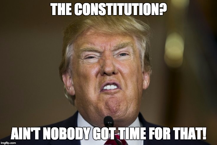 THE CONSTITUTION? AIN'T NOBODY GOT TIME FOR THAT! | image tagged in trump-ain't nobody | made w/ Imgflip meme maker