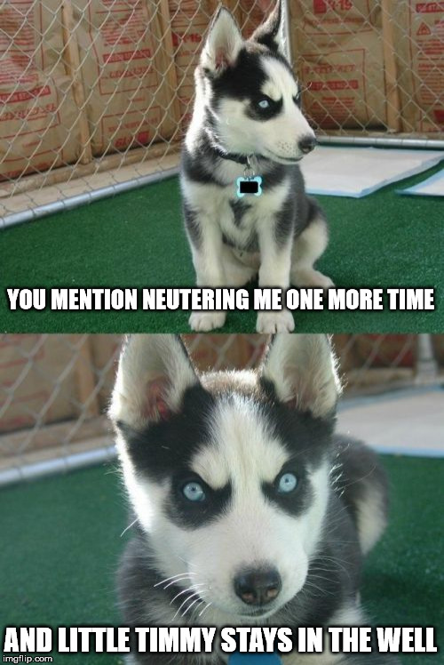 Quid Pro Quo | YOU MENTION NEUTERING ME ONE MORE TIME; AND LITTLE TIMMY STAYS IN THE WELL | image tagged in memes,insanity puppy,little timmy | made w/ Imgflip meme maker