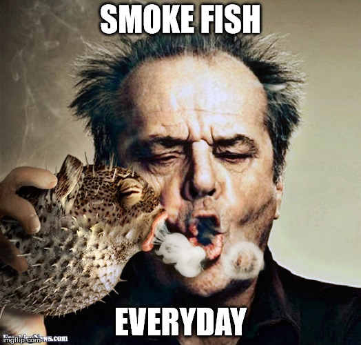 SMOKE FISH; EVERYDAY | image tagged in smoke fish everyday,jack nicholson crazy hair,jack nicholson | made w/ Imgflip meme maker