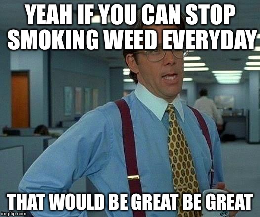 That Would Be Great | YEAH IF YOU CAN STOP SMOKING WEED EVERYDAY; THAT WOULD BE GREAT BE GREAT | image tagged in memes,that would be great | made w/ Imgflip meme maker