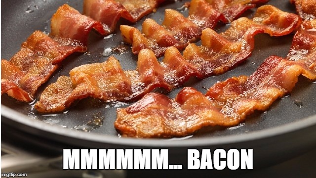 Nearly universal appeal in a pan | MMMMMM... BACON | image tagged in memes,islam,bacon | made w/ Imgflip meme maker