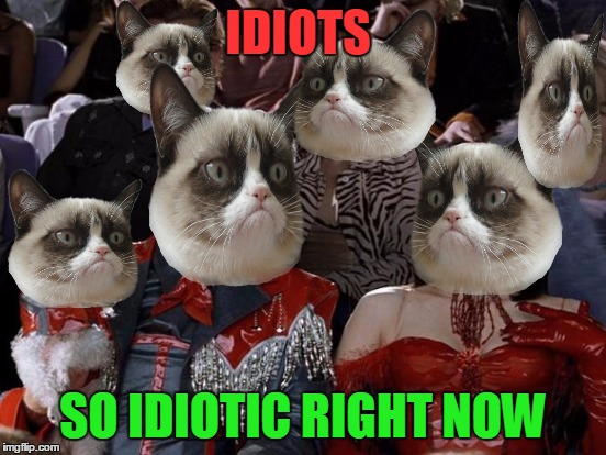 IDIOTS SO IDIOTIC RIGHT NOW | made w/ Imgflip meme maker