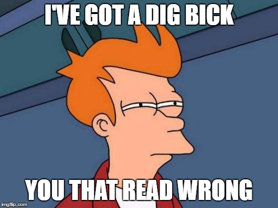Futurama Fry Meme | I'VE GOT A DIG BICK; YOU THAT READ WRONG | image tagged in memes,futurama fry | made w/ Imgflip meme maker