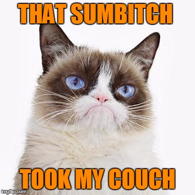 THAT SUMB**CH TOOK MY COUCH | made w/ Imgflip meme maker