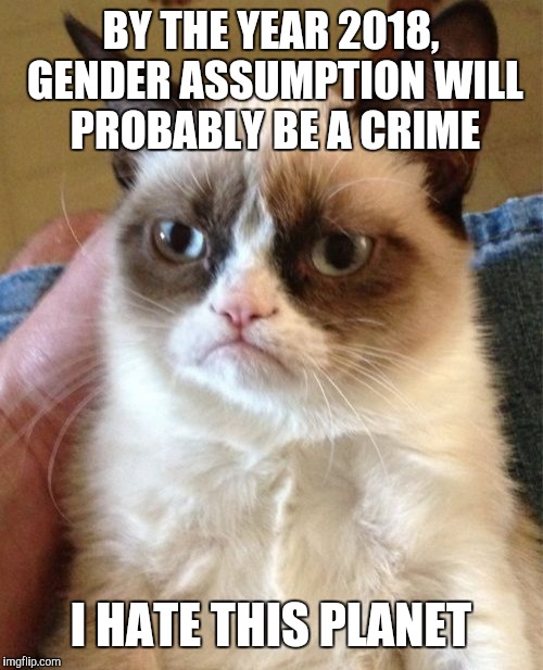 Grumpy Cat Meme | BY THE YEAR 2018, GENDER ASSUMPTION WILL PROBABLY BE A CRIME; I HATE THIS PLANET | image tagged in memes,grumpy cat | made w/ Imgflip meme maker