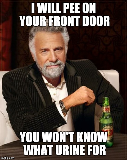 From a raydog rhyming thread that got out of control  | I WILL PEE ON YOUR FRONT DOOR; YOU WON'T KNOW WHAT URINE FOR | image tagged in memes,the most interesting man in the world | made w/ Imgflip meme maker