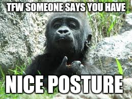 Nice posture | TFW SOMEONE SAYS YOU HAVE; NICE POSTURE | image tagged in lol | made w/ Imgflip meme maker