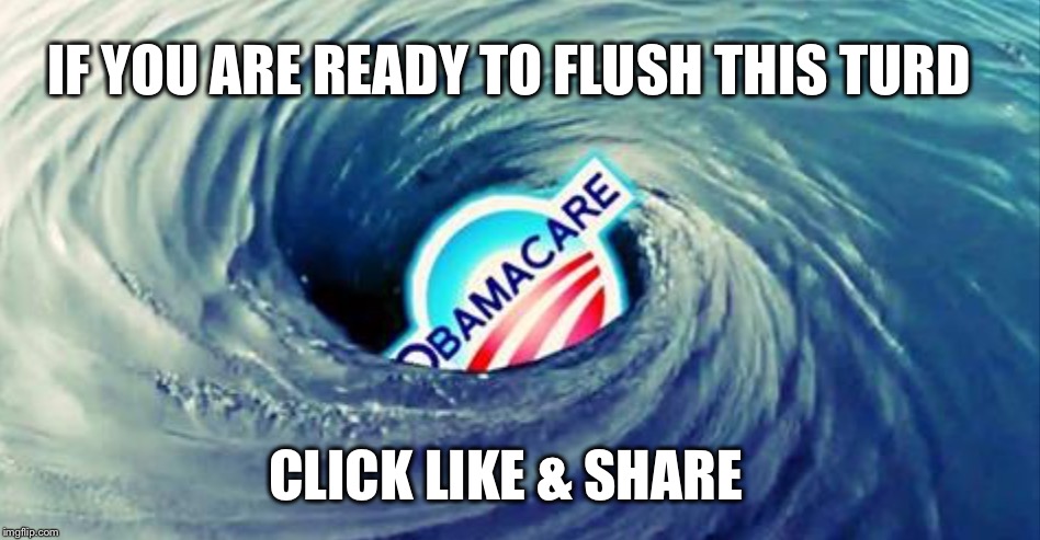 The time has come... | IF YOU ARE READY TO FLUSH THIS TURD; CLICK LIKE & SHARE | image tagged in obamacare | made w/ Imgflip meme maker