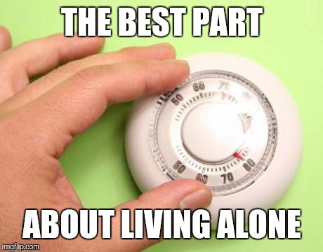 Thermostat  | THE BEST PART; ABOUT LIVING ALONE | image tagged in thermostat | made w/ Imgflip meme maker