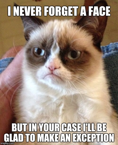 Grumpy Cat Meme | I NEVER FORGET A FACE; BUT IN YOUR CASE I'LL BE GLAD TO MAKE AN EXCEPTION | image tagged in memes,grumpy cat | made w/ Imgflip meme maker