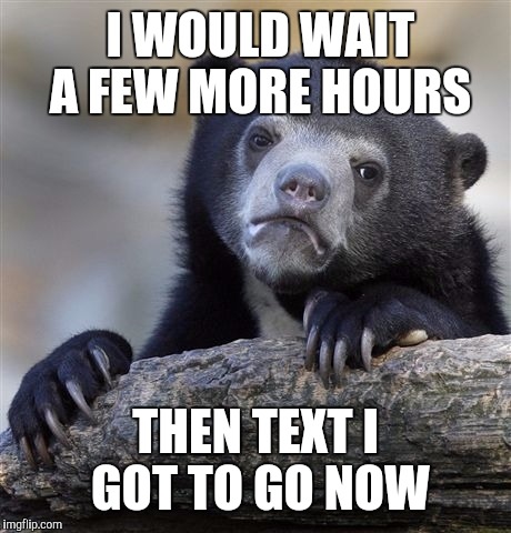 Confession Bear Meme | I WOULD WAIT A FEW MORE HOURS THEN TEXT I GOT TO GO NOW | image tagged in memes,confession bear | made w/ Imgflip meme maker