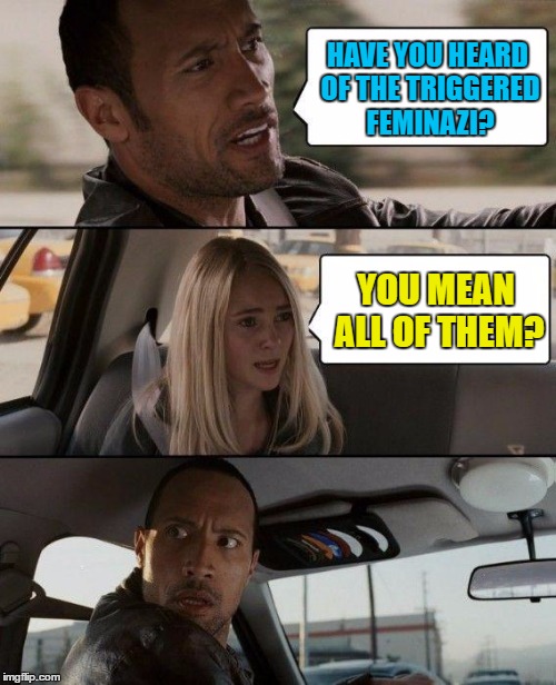 The Rock Driving Meme | HAVE YOU HEARD OF THE TRIGGERED FEMINAZI? YOU MEAN ALL OF THEM? | image tagged in memes,the rock driving | made w/ Imgflip meme maker