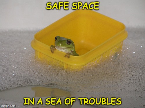 Adrift | SAFE SPACE; IN A SEA OF TROUBLES | image tagged in frog,safe space | made w/ Imgflip meme maker