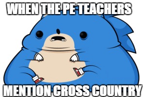 WHEN THE PE TEACHERS; MENTION CROSS COUNTRY | image tagged in sonic the hedgehog,meme,cross country | made w/ Imgflip meme maker