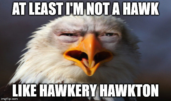 AT LEAST I'M NOT A HAWK LIKE HAWKERY HAWKTON | made w/ Imgflip meme maker