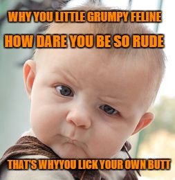 Skeptical Baby Meme | WHY YOU LITTLE GRUMPY FELINE THAT'S WHYYOU LICK YOUR OWN BUTT HOW DARE YOU BE SO RUDE | image tagged in memes,skeptical baby | made w/ Imgflip meme maker