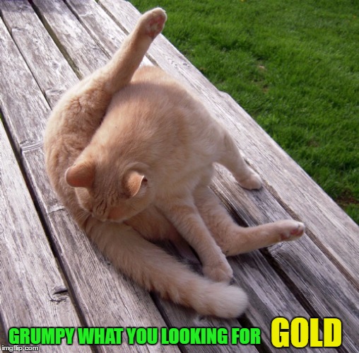GOLD GRUMPY WHAT YOU LOOKING FOR | made w/ Imgflip meme maker
