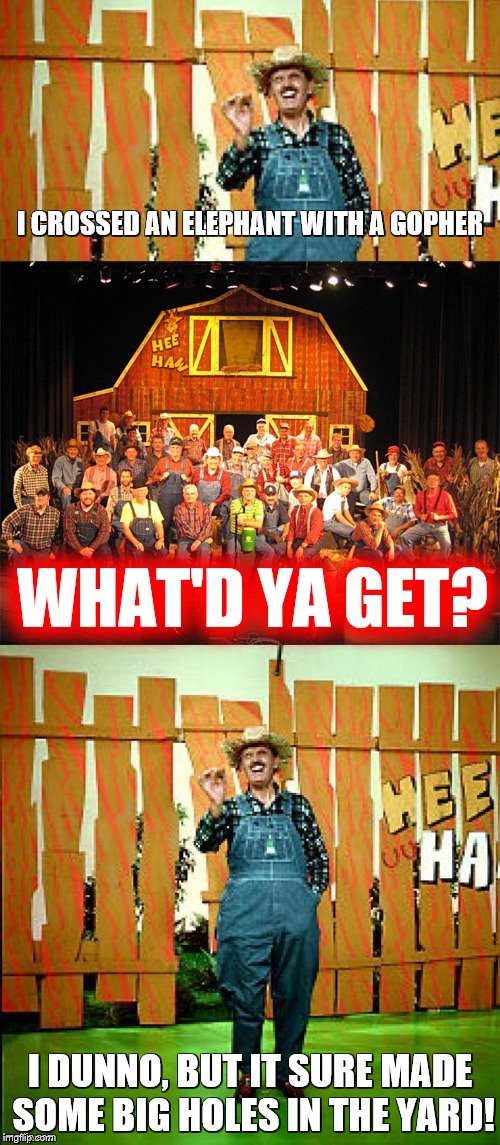 Hee haw I crossed a x with an x |  I CROSSED AN ELEPHANT WITH A GOPHER; I DUNNO, BUT IT SURE MADE SOME BIG HOLES IN THE YARD! | image tagged in hee haw i crossed a x with an x | made w/ Imgflip meme maker