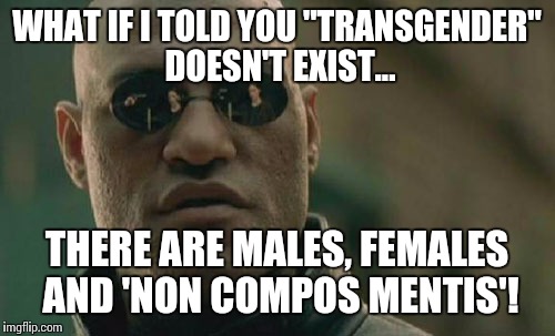 You are denying the truth... | WHAT IF I TOLD YOU "TRANSGENDER" DOESN'T EXIST... THERE ARE MALES, FEMALES AND 'NON COMPOS MENTIS'! | image tagged in memes,trans,transgender truth,reality,matrix | made w/ Imgflip meme maker