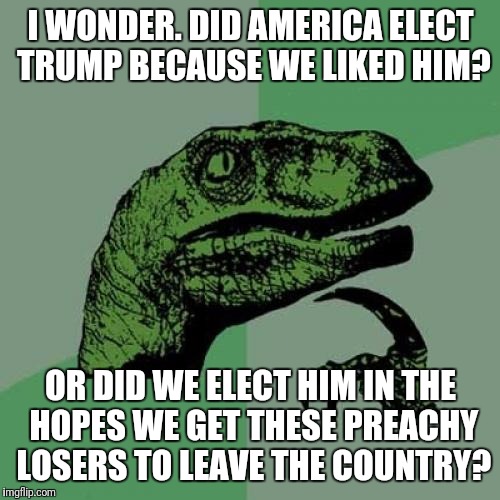 Philosoraptor Meme | I WONDER. DID AMERICA ELECT TRUMP BECAUSE WE LIKED HIM? OR DID WE ELECT HIM IN THE HOPES WE GET THESE PREACHY LOSERS TO LEAVE THE COUNTRY? | image tagged in memes,philosoraptor | made w/ Imgflip meme maker