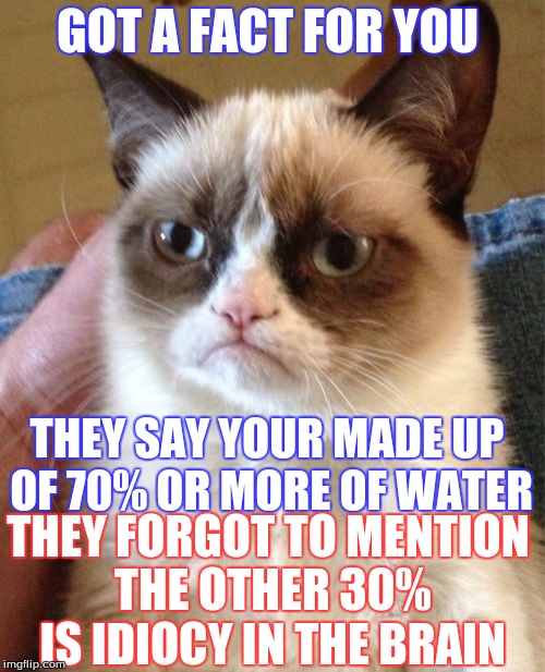 Fact About The Human Body With - Grumpy Cat | GOT A FACT FOR YOU; THEY SAY YOUR MADE UP OF 70% OR MORE OF WATER; THEY FORGOT TO MENTION THE OTHER 30% IS IDIOCY IN THE BRAIN | image tagged in memes,grumpy cat,fact,humanity | made w/ Imgflip meme maker