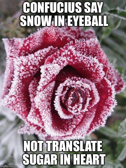CONFUCIUS SAY SNOW IN EYEBALL; NOT TRANSLATE SUGAR IN HEART | made w/ Imgflip meme maker