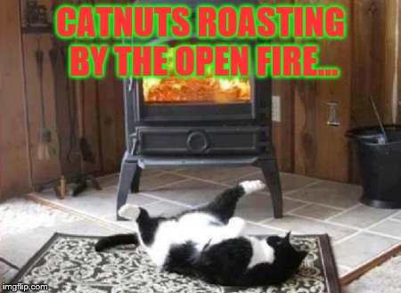 Saw this on FB, thought it might bring up a hairball or two | CATNUTS ROASTING BY THE OPEN FIRE... | image tagged in christmas,cats,funny memes | made w/ Imgflip meme maker
