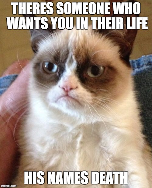 Grumpy Cat | THERES SOMEONE WHO WANTS YOU IN THEIR LIFE; HIS NAMES DEATH | image tagged in memes,grumpy cat | made w/ Imgflip meme maker