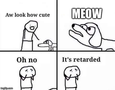 its retarded | MEOW | image tagged in its retarded | made w/ Imgflip meme maker