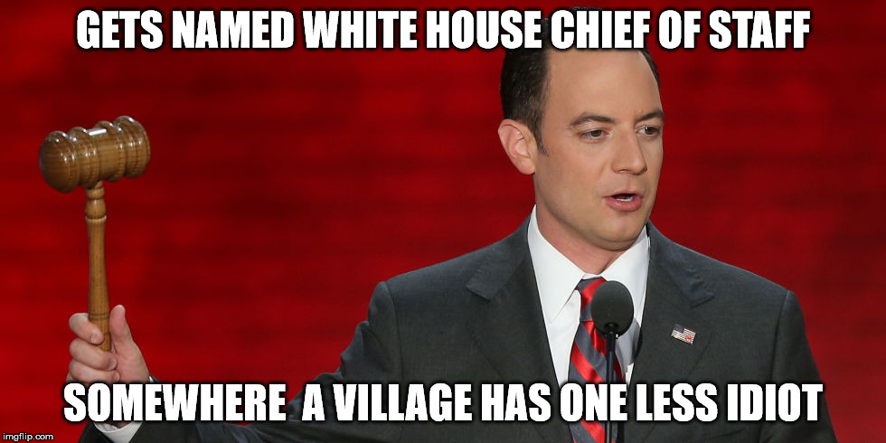 rience | GETS NAMED WHITE HOUSE CHIEF OF STAFF; SOMEWHERE  A VILLAGE HAS ONE LESS IDIOT | image tagged in election 2016 | made w/ Imgflip meme maker