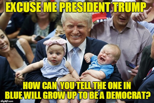 EXCUSE ME PRESIDENT TRUMP; HOW CAN  YOU TELL THE ONE IN BLUE WILL GROW UP TO BE A DEMOCRAT? | image tagged in trump,democrat,crying baby | made w/ Imgflip meme maker