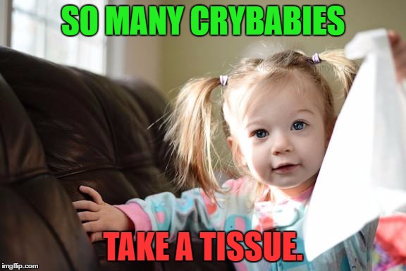 Tissue | SO MANY CRYBABIES; TAKE A TISSUE. | image tagged in tissue | made w/ Imgflip meme maker