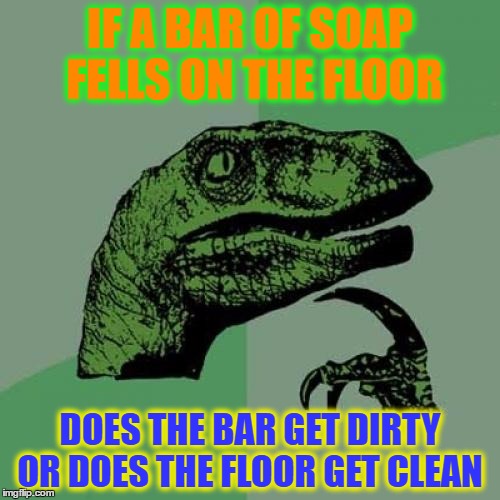 Philosoraptor Meme | IF A BAR OF SOAP FELLS ON THE FLOOR; DOES THE BAR GET DIRTY OR DOES THE FLOOR GET CLEAN | image tagged in memes,philosoraptor | made w/ Imgflip meme maker