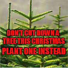 Christmas Tree PSA | DON'T CUT DOWN A TREE THIS CHRISTMAS; PLANT ONE INSTEAD | image tagged in christmas tree,psa | made w/ Imgflip meme maker