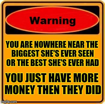 Warning Sign | YOU ARE NOWHERE NEAR THE BIGGEST SHE'S EVER SEEN OR THE BEST SHE'S EVER HAD; YOU JUST HAVE MORE MONEY THEN THEY DID | image tagged in memes,warning sign | made w/ Imgflip meme maker