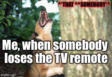 Oh, ROOMMATES... | ^*THAT ^^SOMEBODY*^; Me, when somebody loses the TV remote | image tagged in dog barking up tree,memes,funny memes | made w/ Imgflip meme maker