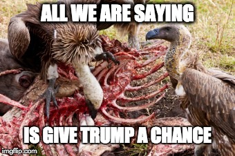 ALL WE ARE SAYING; IS GIVE TRUMP A CHANCE | image tagged in vulture | made w/ Imgflip meme maker