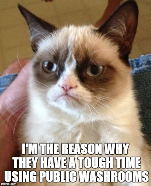 Grumpy Cat Meme | I'M THE REASON WHY THEY HAVE A TOUGH TIME USING PUBLIC WASHROOMS | image tagged in memes,grumpy cat | made w/ Imgflip meme maker
