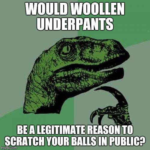 Philosoraptor | WOULD WOOLLEN UNDERPANTS; BE A LEGITIMATE REASON TO SCRATCH YOUR BALLS IN PUBLIC? | image tagged in memes,philosoraptor | made w/ Imgflip meme maker