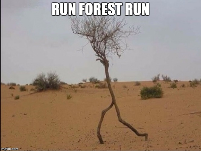 RUN FOREST RUN | made w/ Imgflip meme maker